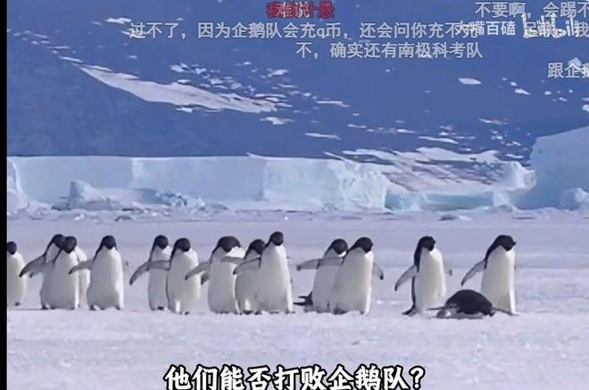 签一天短约！洛瑞将以猛龙球员身份正式退役：7号球衣也将退役