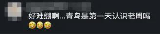 新加坡公开赛:国羽女双会师决赛,贾一凡/张殊贤夺冠
