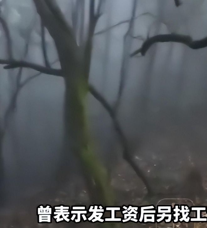 3年4500万美元!尚帕尼成功续约马刺 继续辅佐文班亚马冲冠