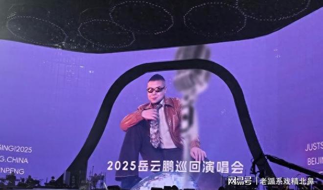 中国羽毛球公开赛:中国队提前锁定混双冠军