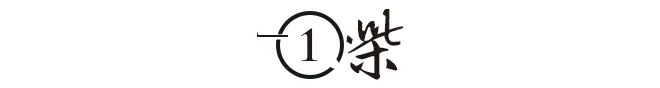 伯明翰买断签哥伦比亚中场索利斯